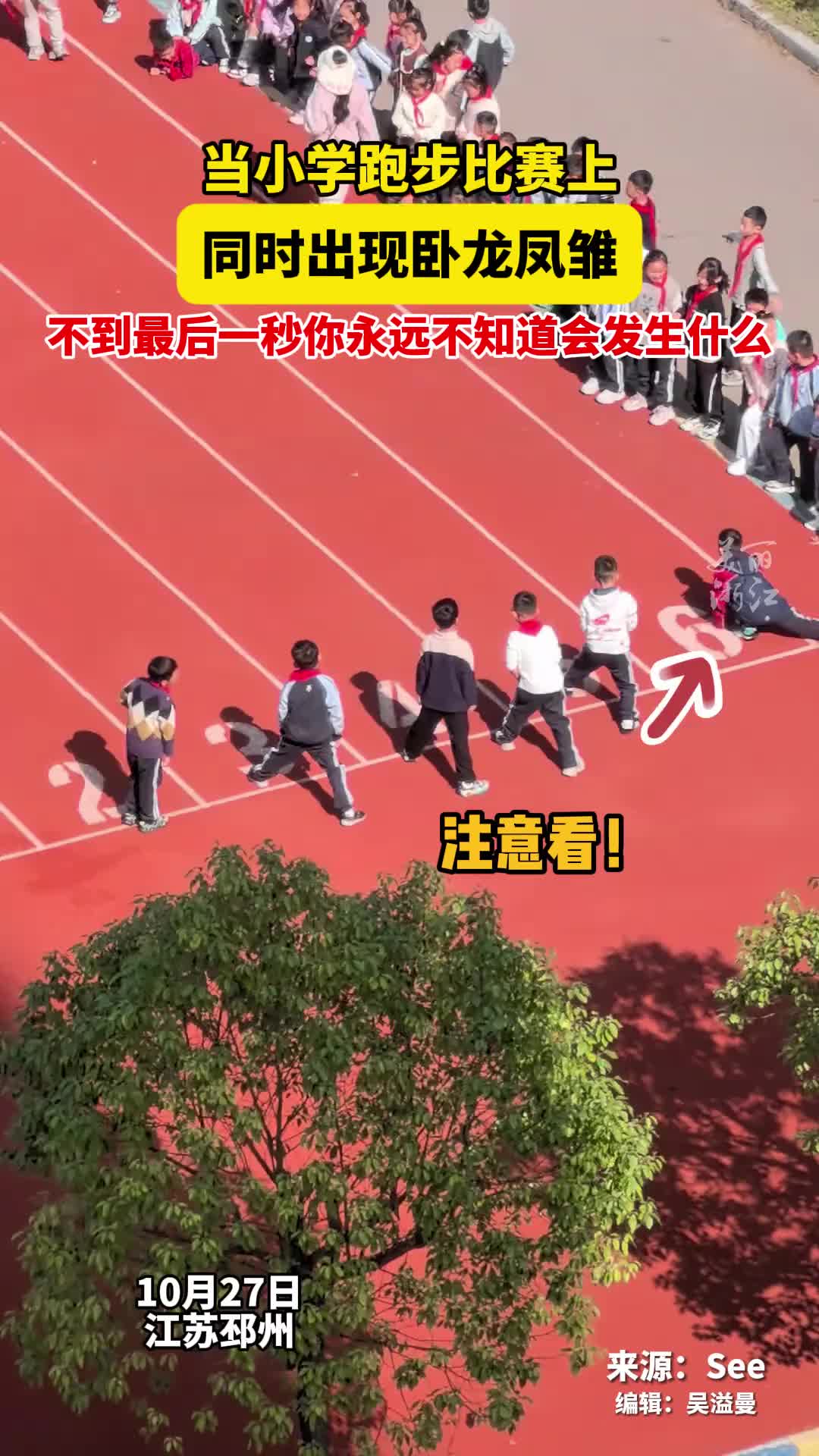 当跑步比赛同时出现卧龙凤雏，看到最后一秒