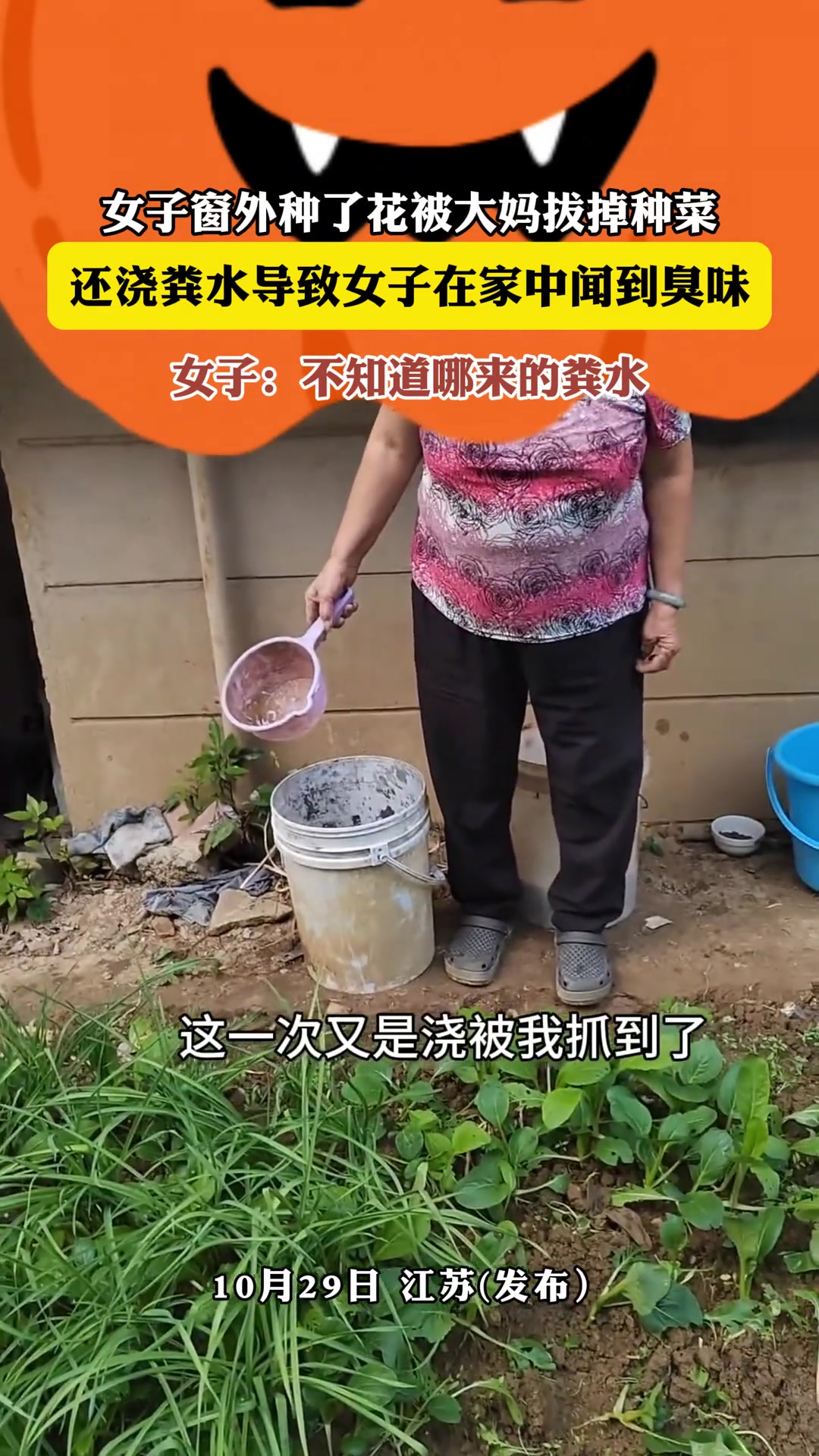 女子窗外种了花被大妈拔掉种菜，还浇粪水导致女子在家中闻到臭味