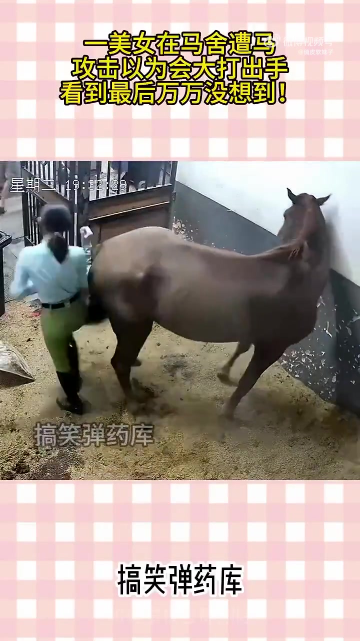 一美女在马舍遭马攻击，以为会大打出手，看到最后万万没想到！！
