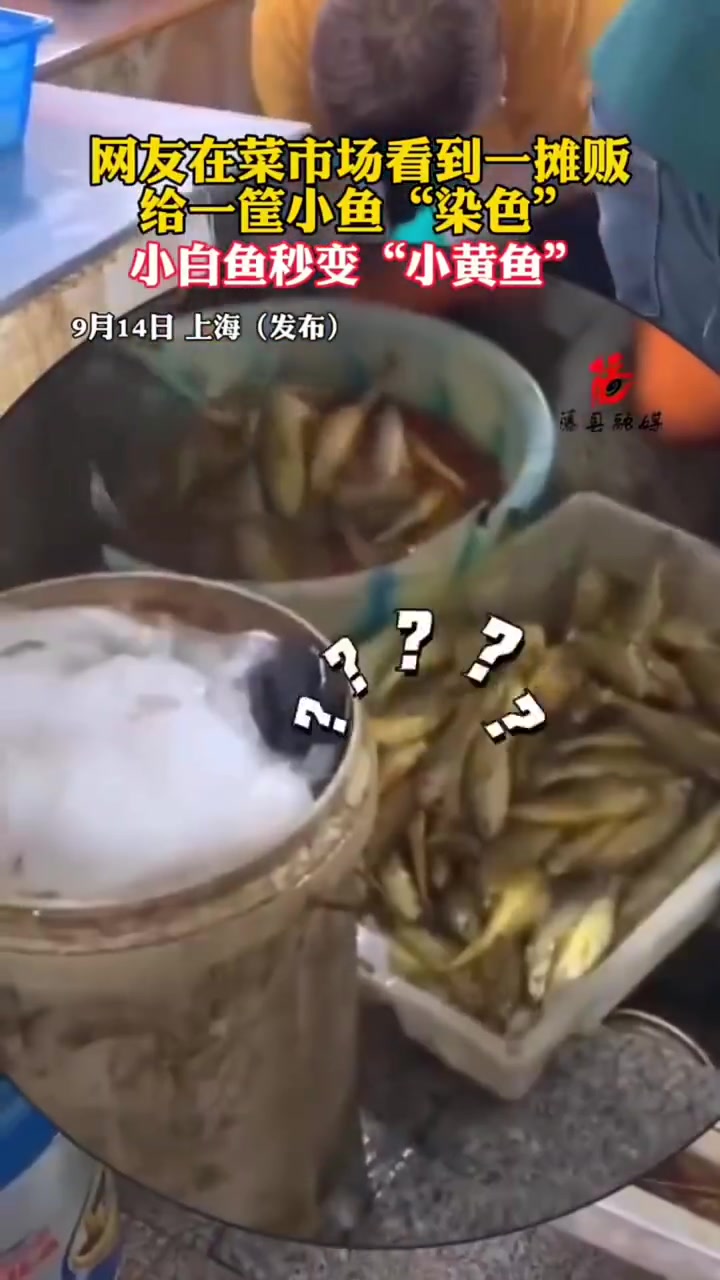 网友在菜市场看到一摊贩，给一筐小鱼染色小白鱼秒变小黄鱼