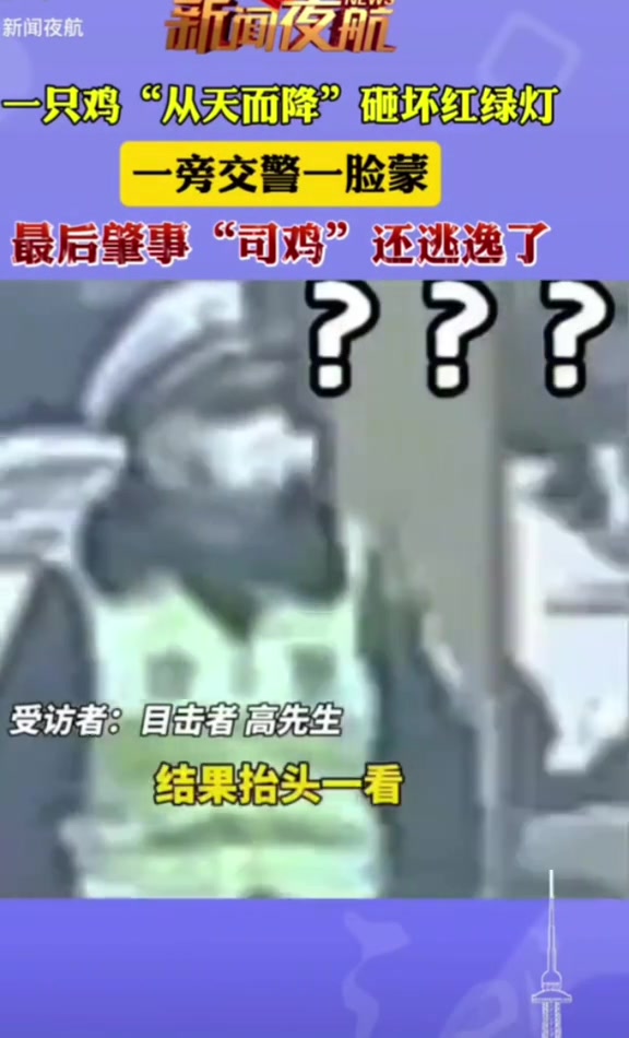 鸡“从天而降”砸坏红绿灯,交警一脸蒙追肇事“司鸡”