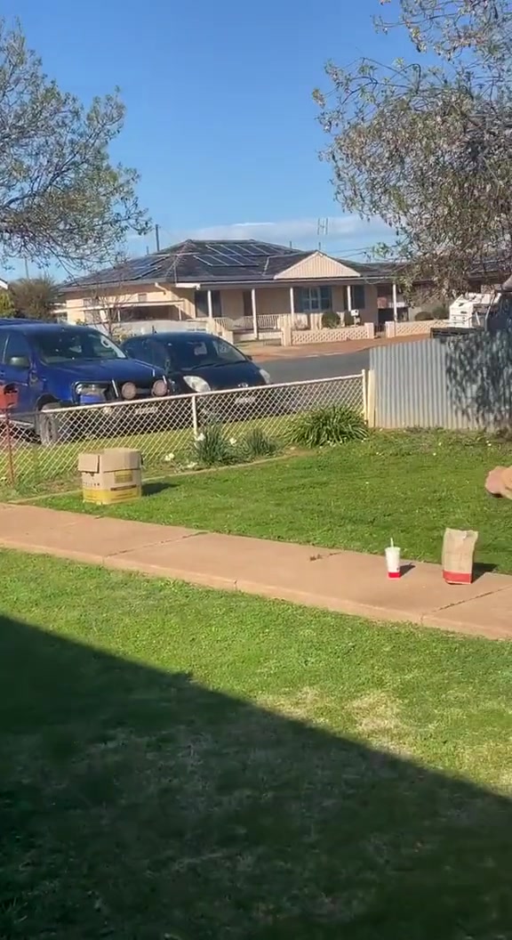 网友穿了件袋鼠连体衣，成功把小袋鼠骗进了自己的袋子里