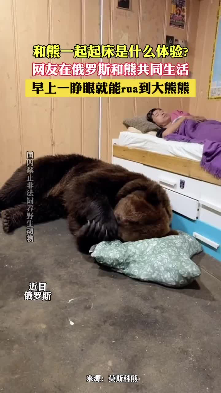 和熊一起生活是什么体验