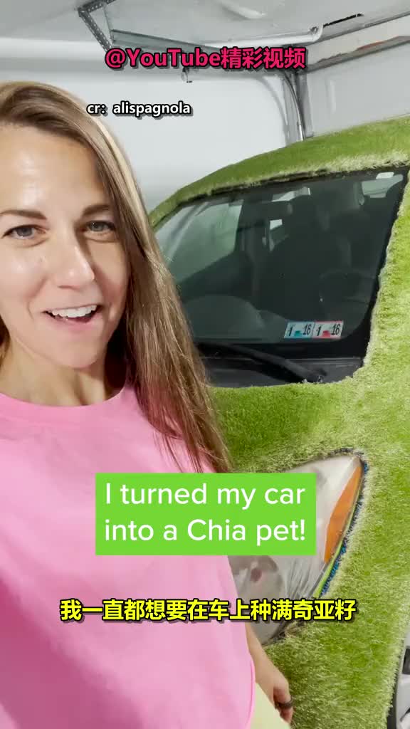 小姐姐突发奇想：把一辆种满奇亚籽的车，开到街上是什么体验