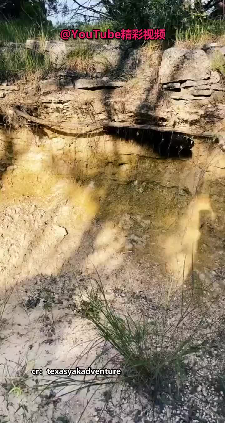 一片一片的和黑神话盘丝洞里的一样