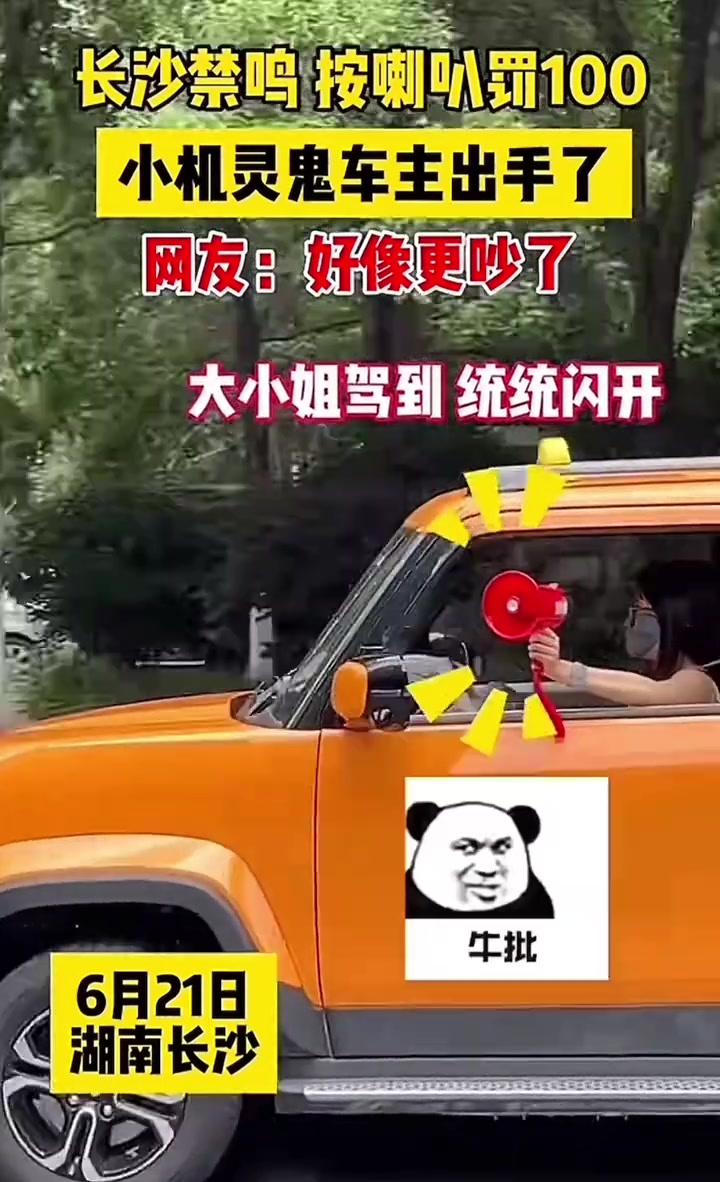 禁鸣按喇叭罚100，小机灵鬼车主出手了