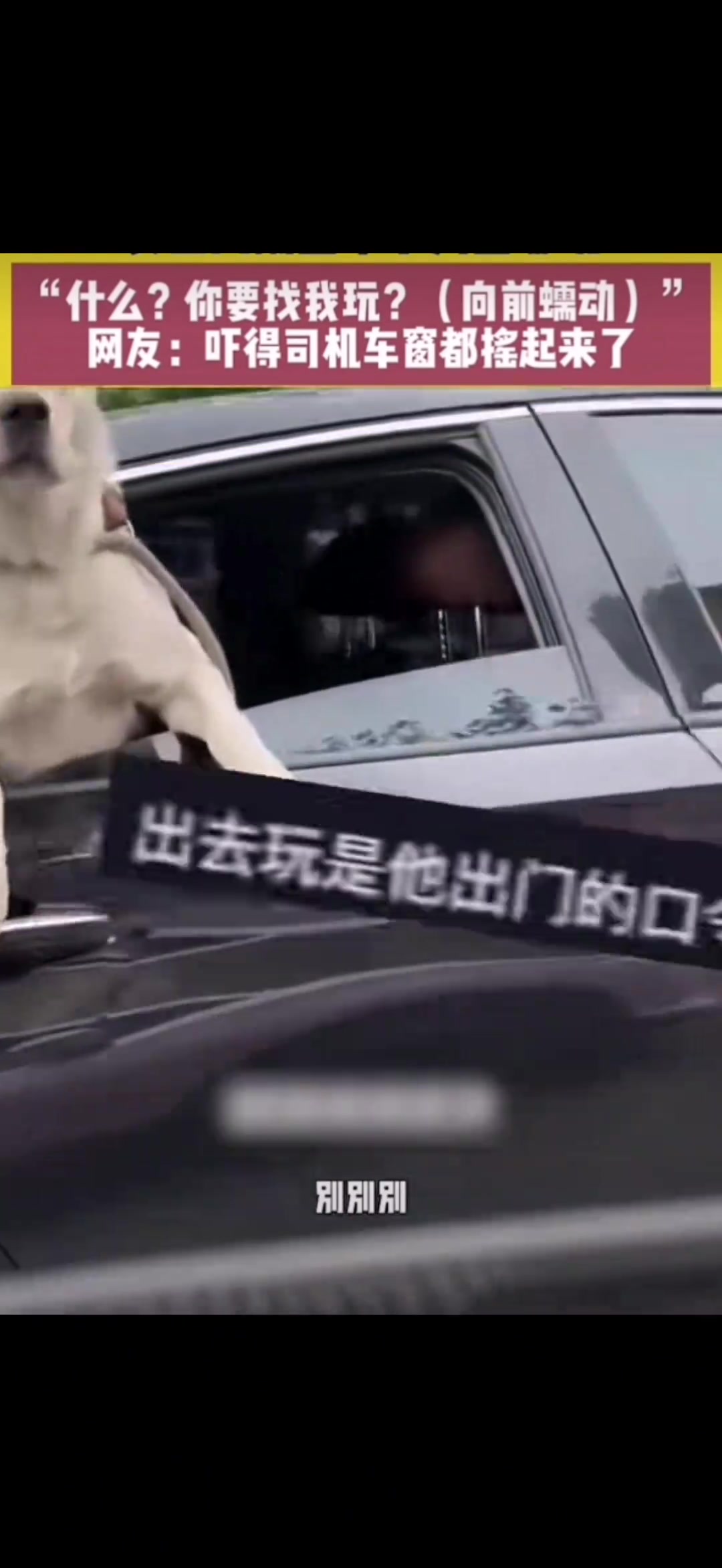吓得司机车窗都摇起来了