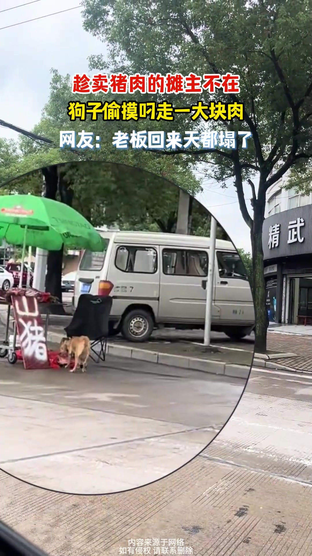 趁卖猪肉摊主不在狗子偷摸叼走一块大肉