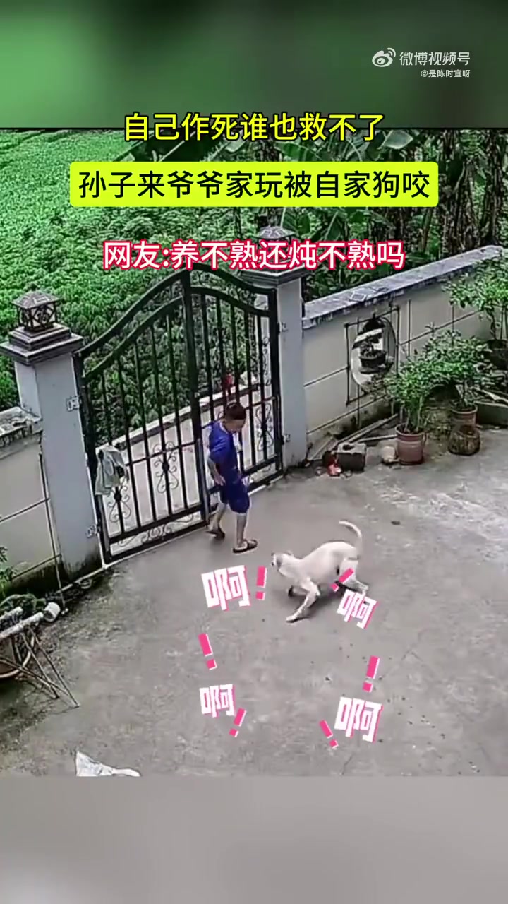 爷爷家的畜禽们：感谢狗哥的献身