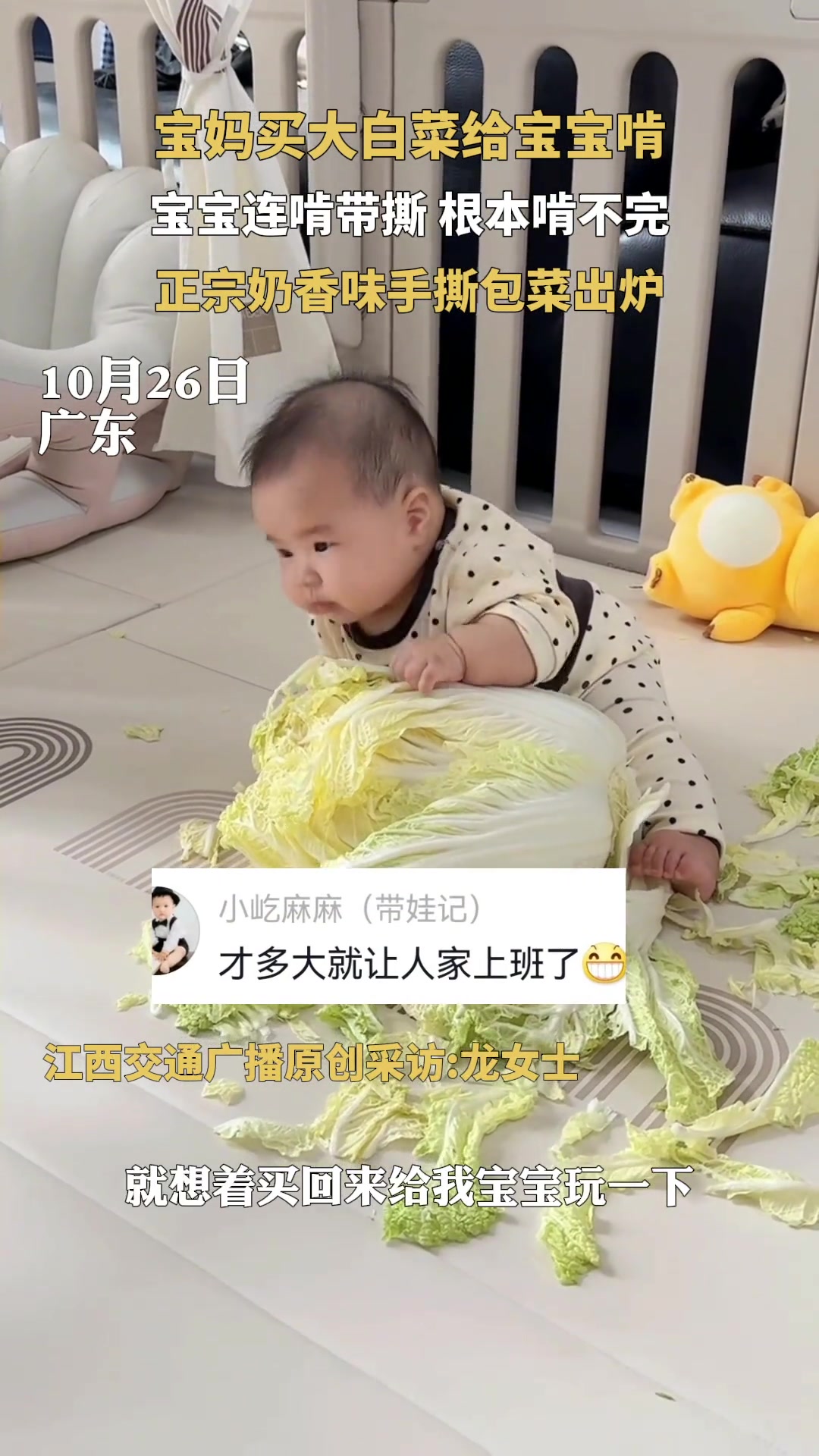 宝妈买大白菜给宝宝啃，宝宝连啃带撕根本啃不完