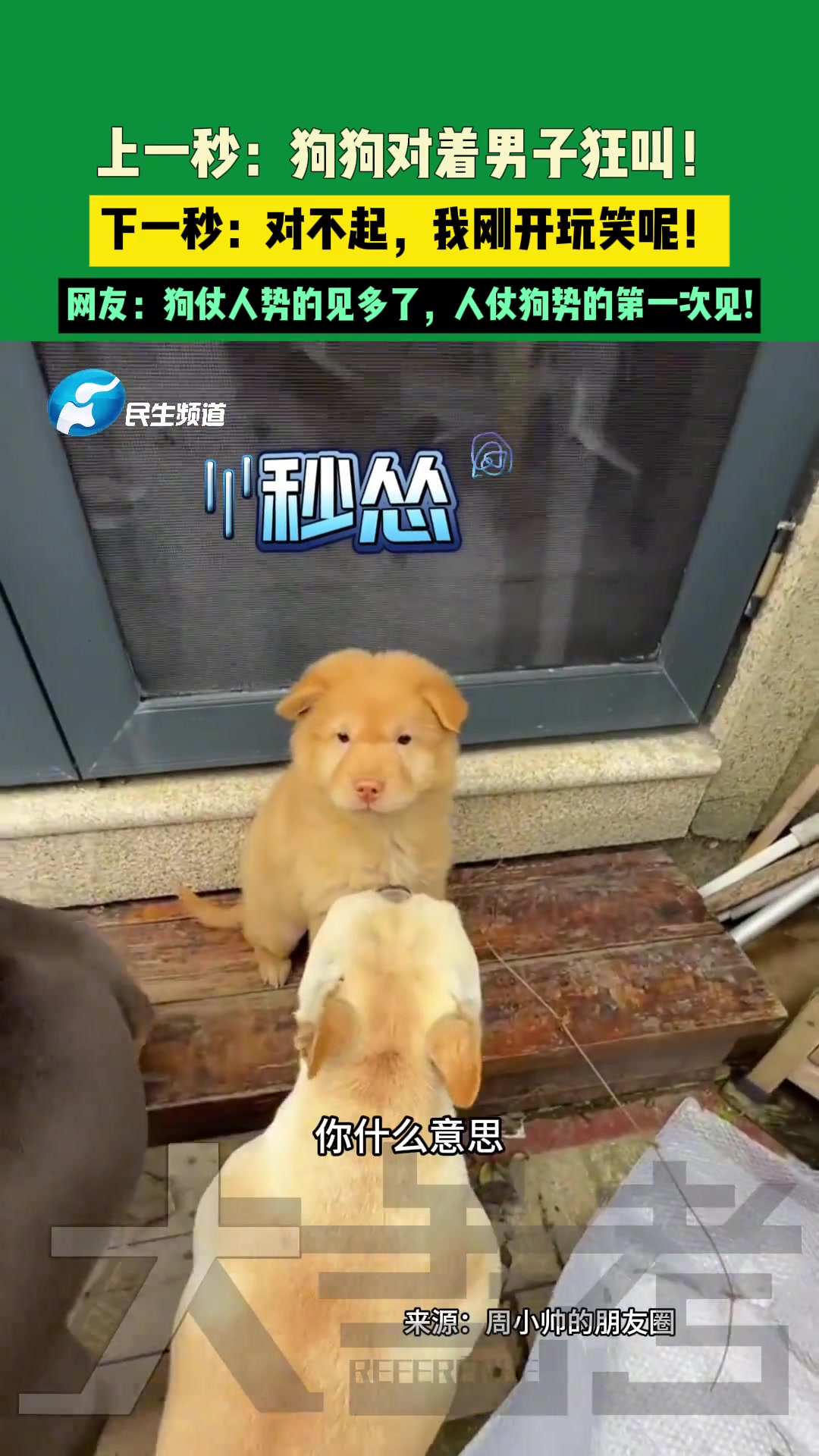 上一秒：狗狗对着男子狂叫下一秒：对不起我刚开玩笑的