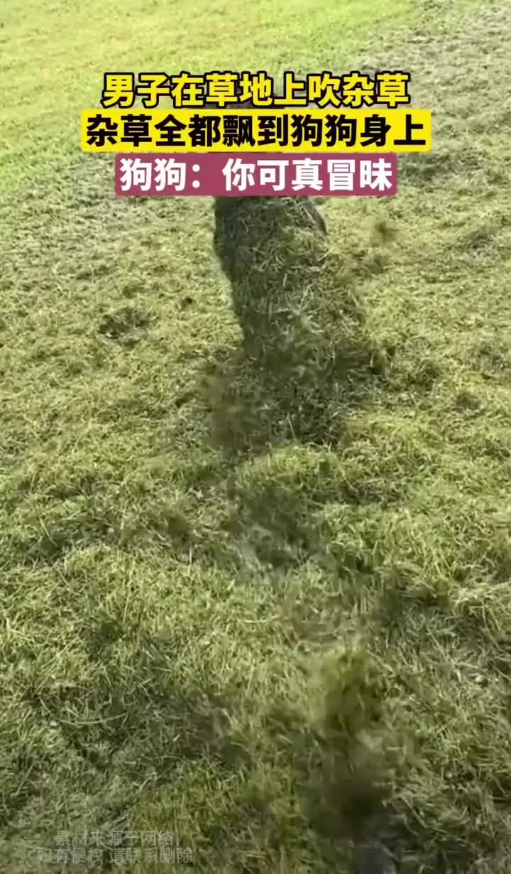 你继续吹，我先躺会