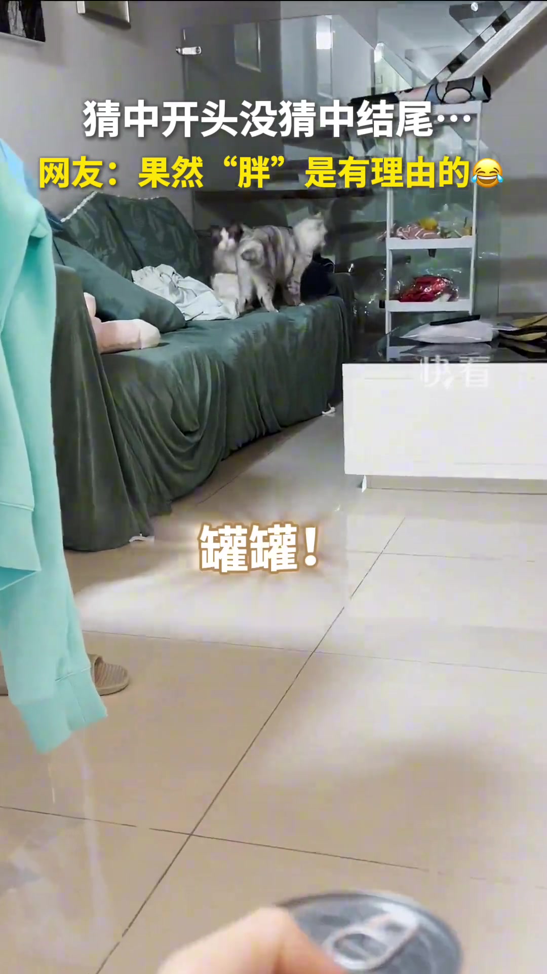 猜中开头没猜中结尾网友：果然“胖”是有理由的
