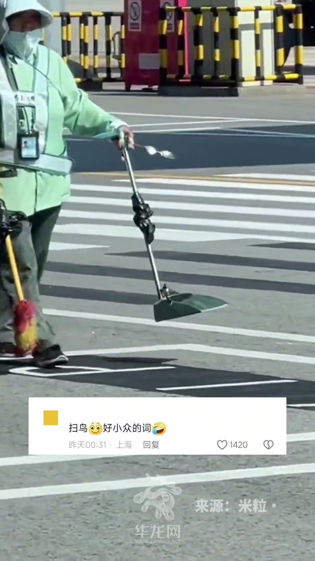 机场保洁在停机坪扫小鸟，小鸟被扫进簸箕后乖乖站着！