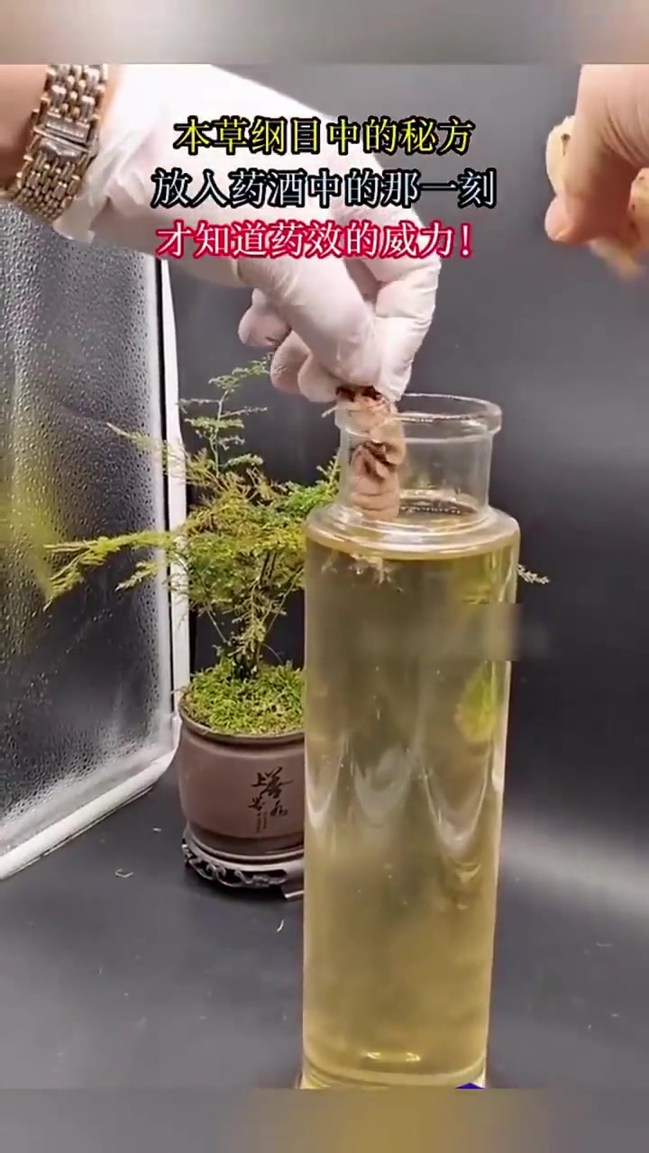 这不就是排泄物么吗