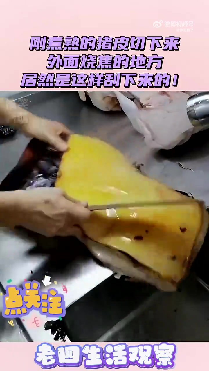 刚煮熟的猪皮切下来，外面烧焦的地方，居然是这样刮下来的！