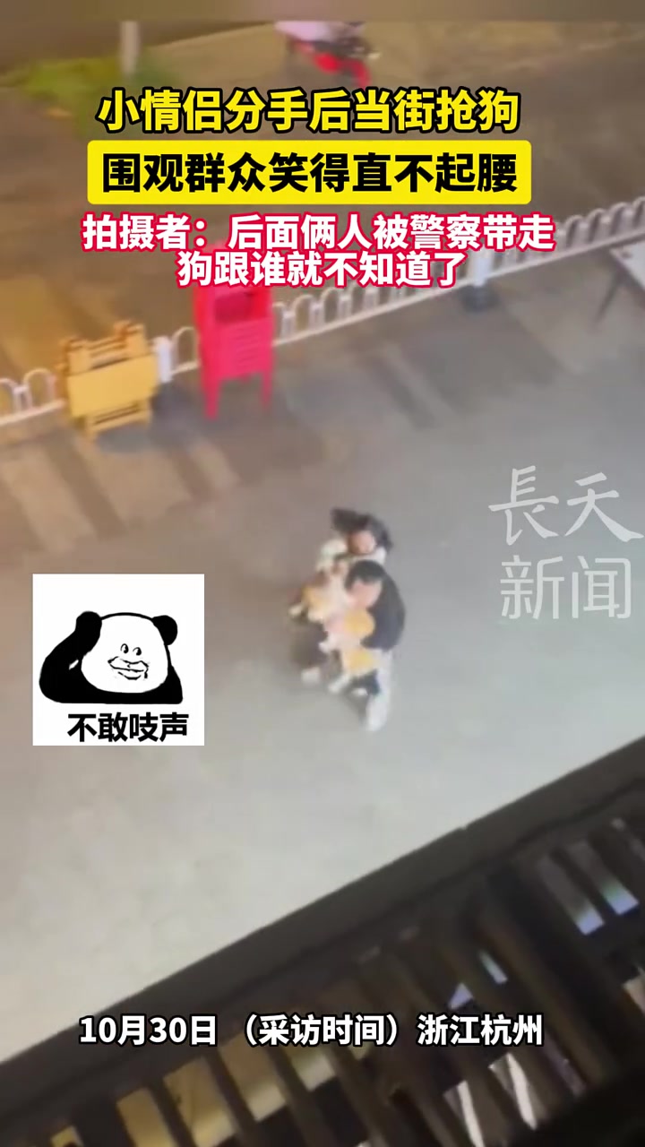 小情侣分手后当街抢狗围观群众笑得直不起腰！
