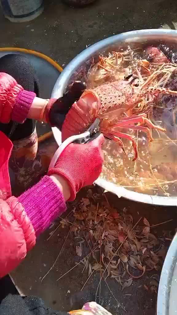 这虾剥得可真溜