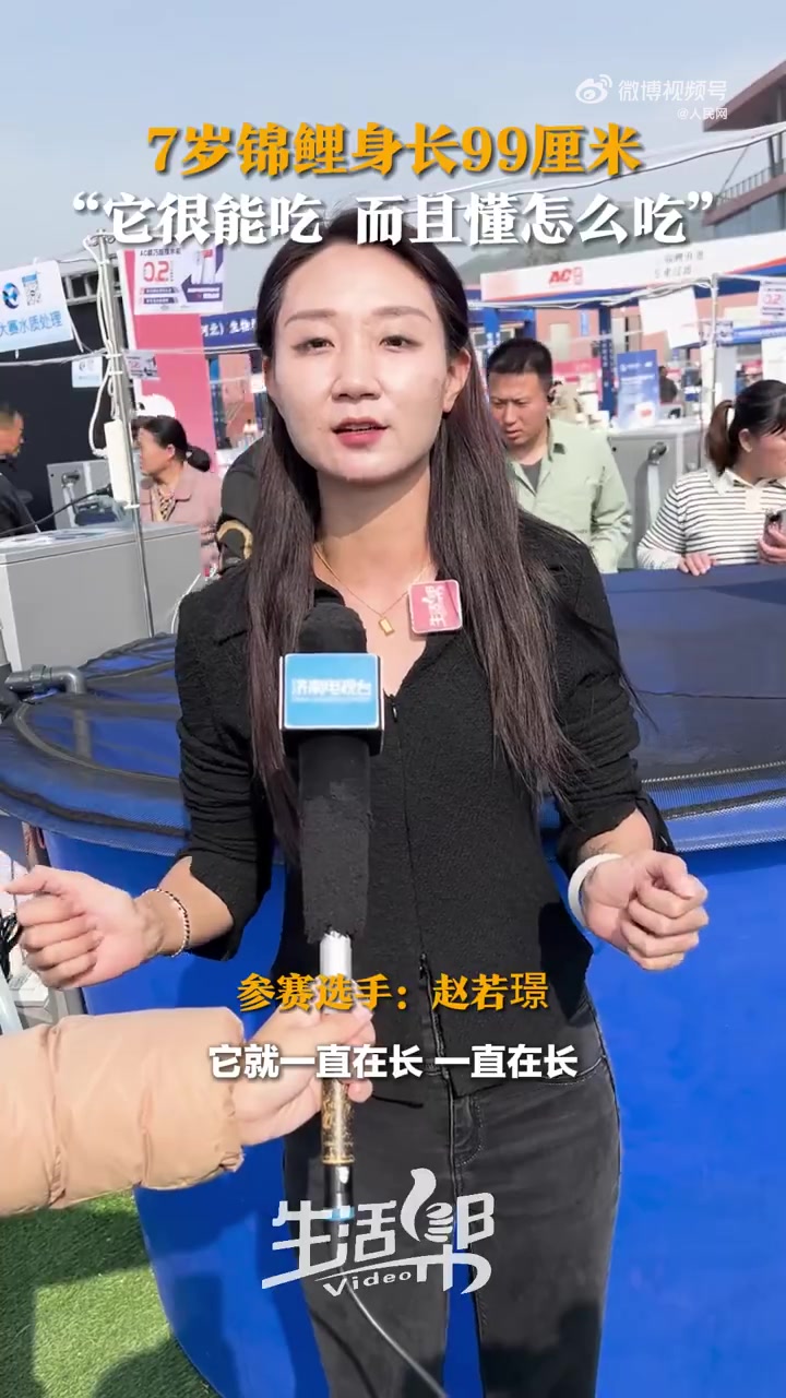 7岁锦鲤身长99厘米，很能吃且懂怎么吃