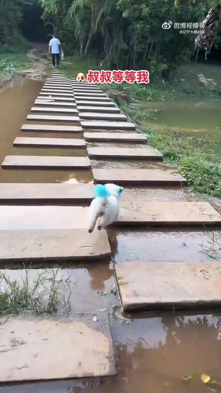 看得我头都晕了真灵活