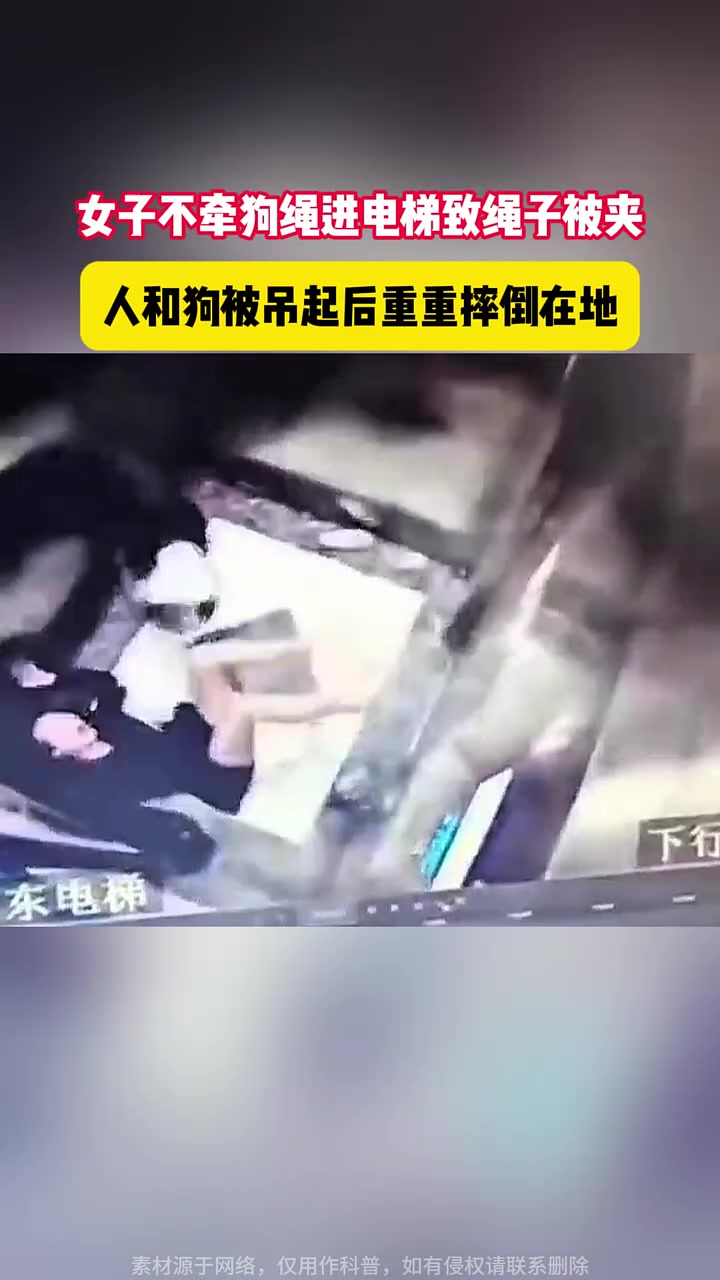 带宠物坐电梯时一定把绳子拽紧啊！