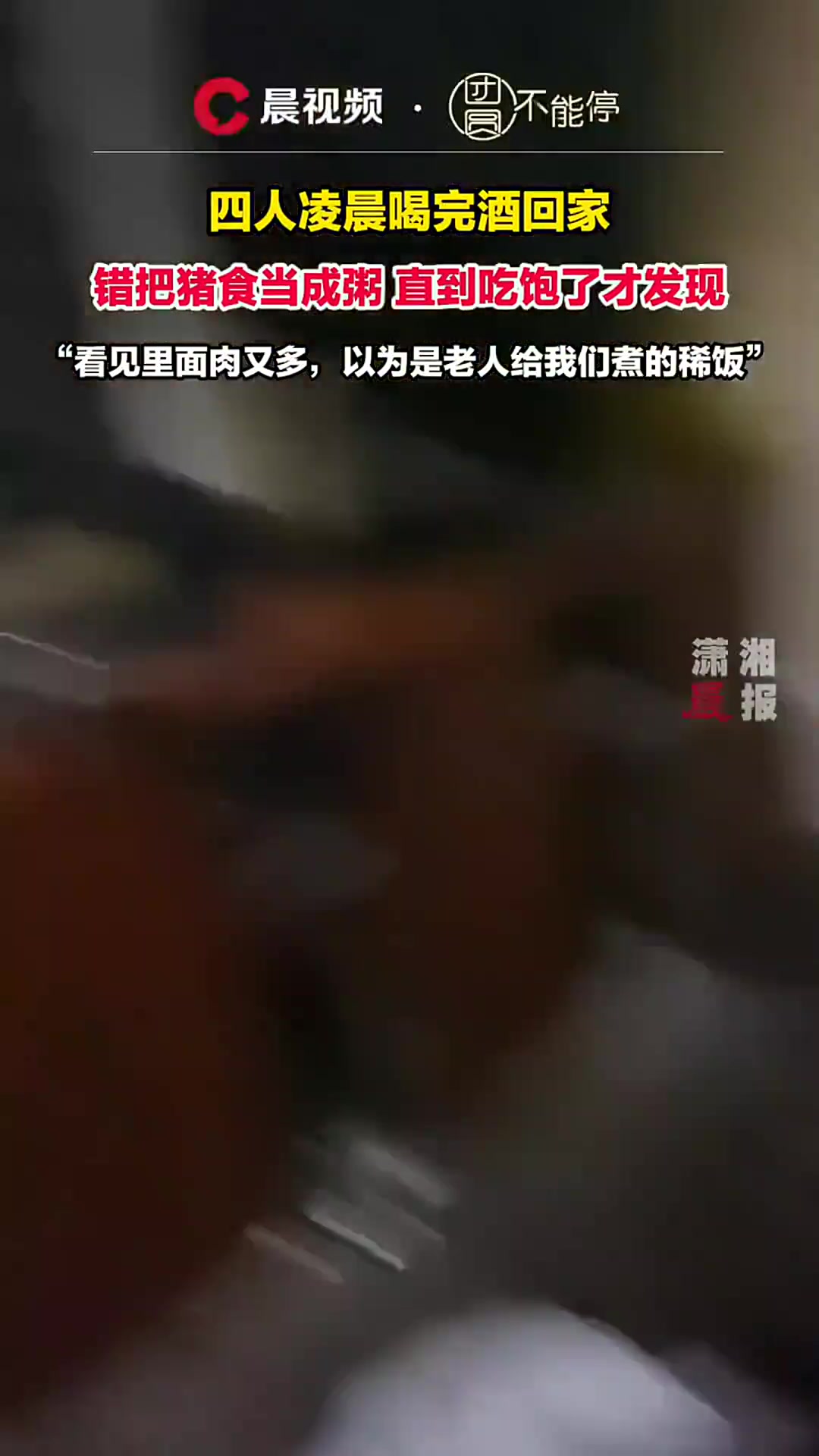 酒后行为艺术家猪这辈子估计都没想到吧