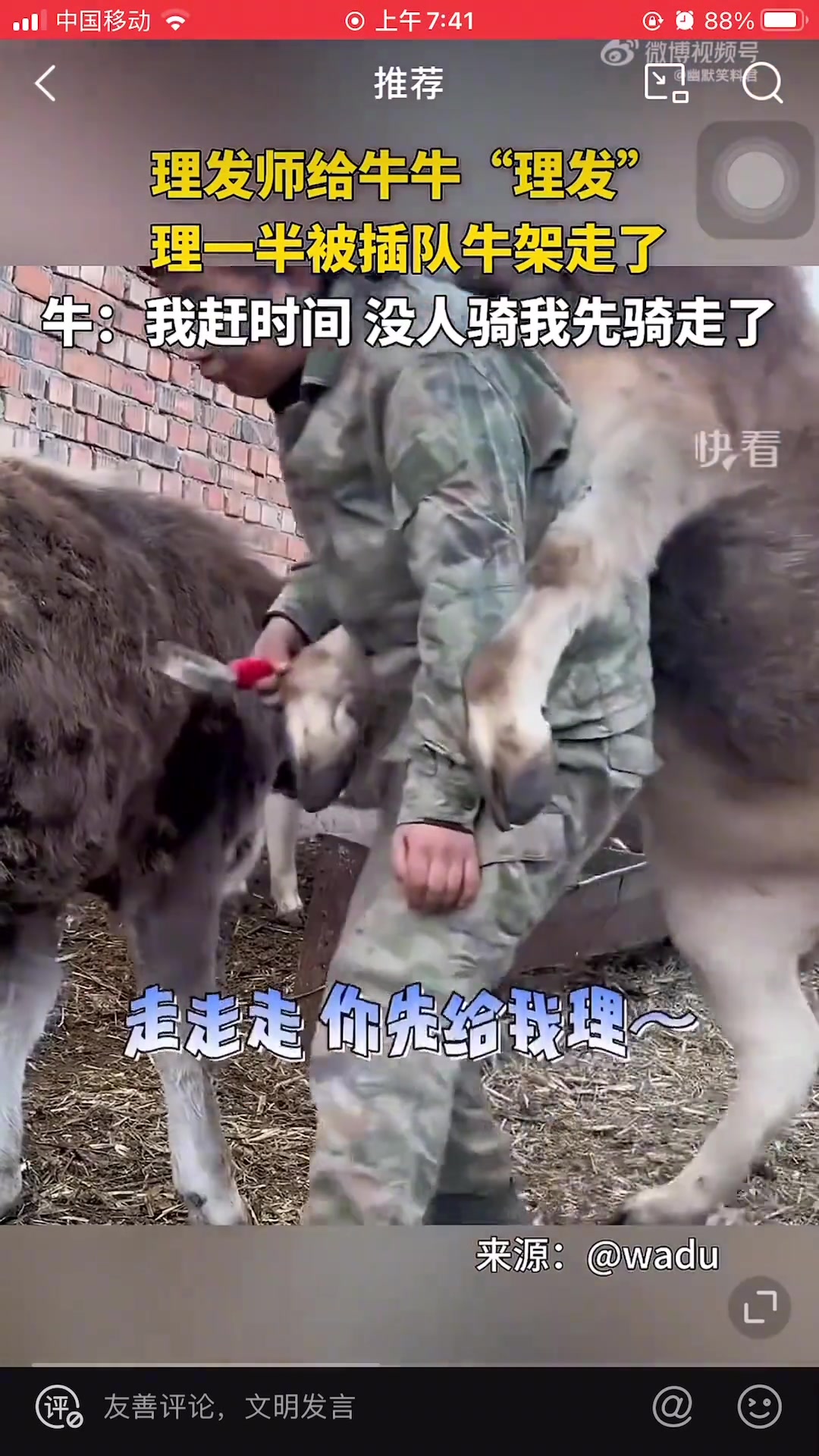 好可爱的牛牛