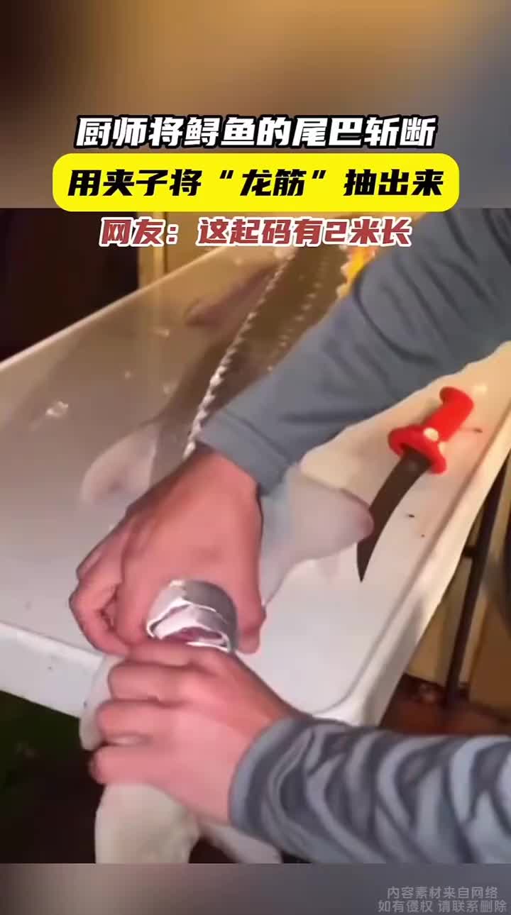 小伙将鲟鱼的尾巴斩断，用手一把把“龙筋”抽出来