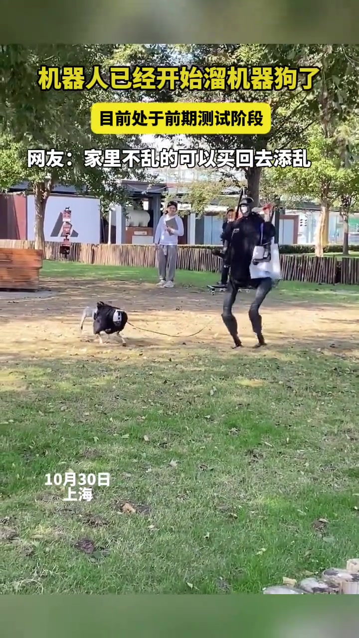 家里不乱的可以买回去添乱了如果家里乱的也可以买回去乱上添乱了