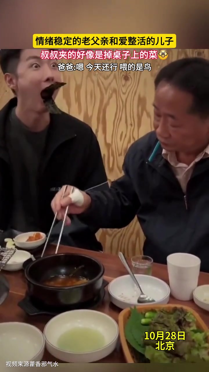 不扫兴的父亲真的很赞