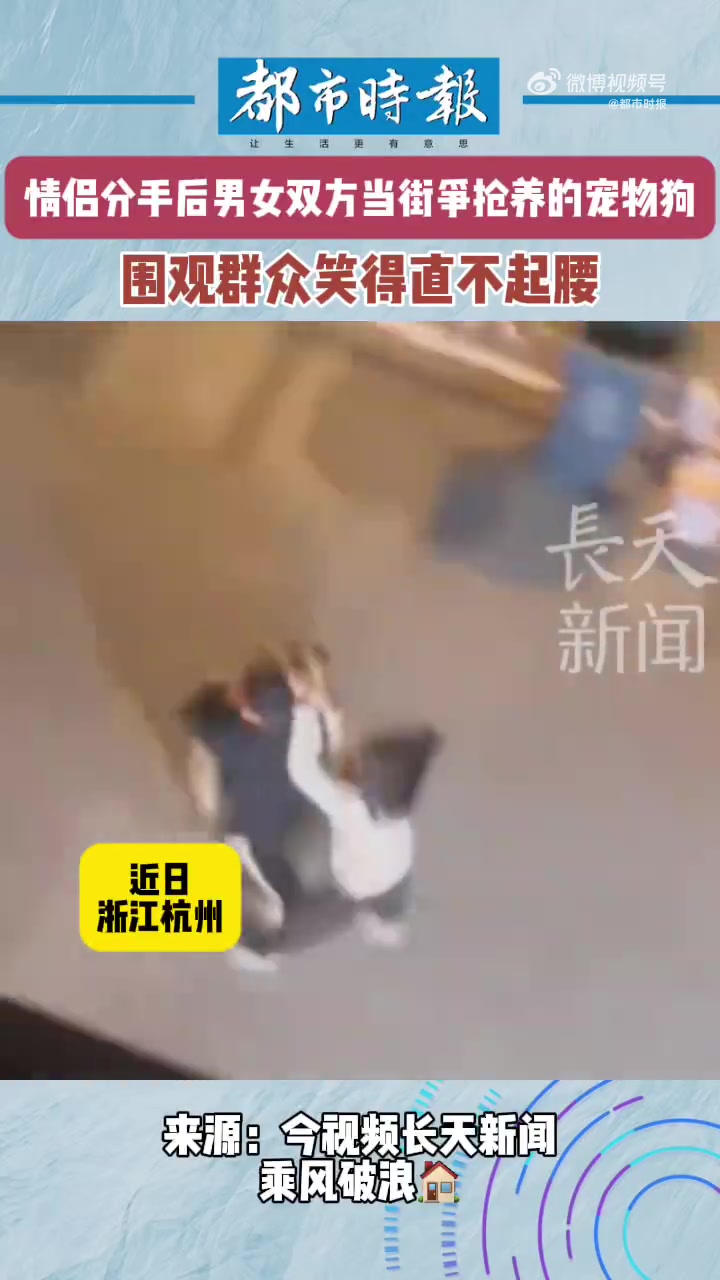 情侣分手后当街争抢宠物狗