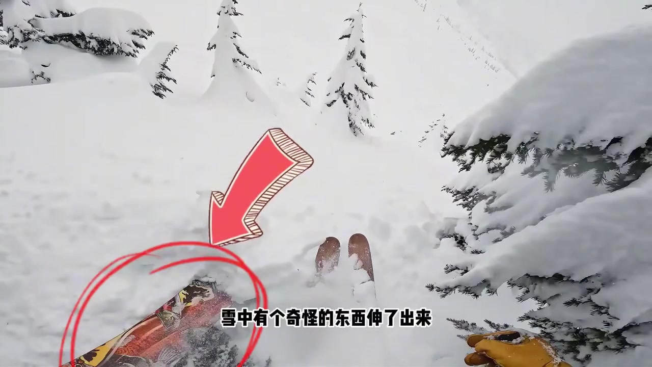 电影都不敢这么演