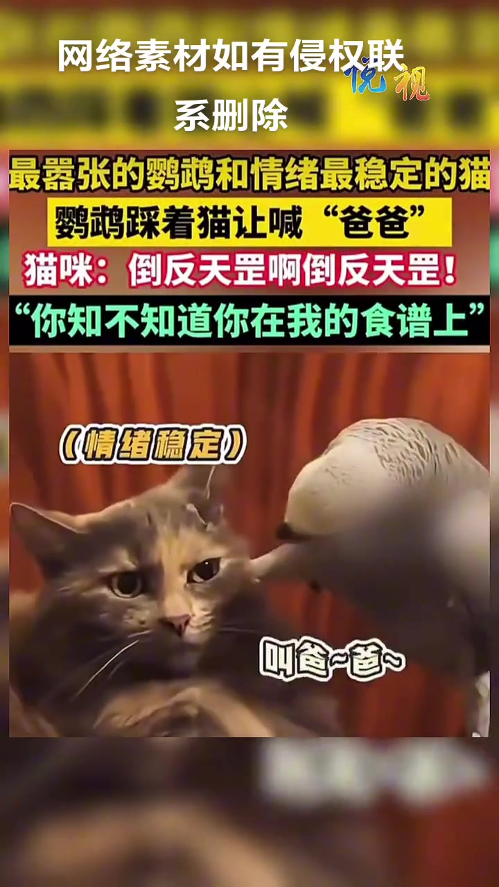 这小子太嚣张了