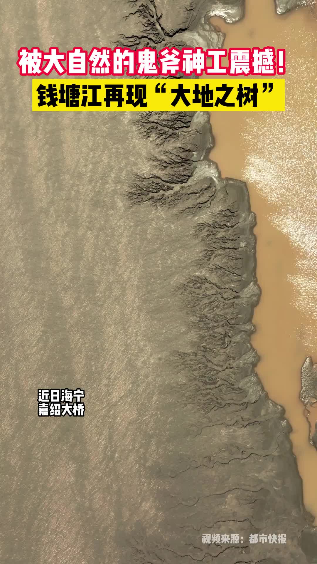 大自然的鬼斧神工！钱塘江重现大地之树