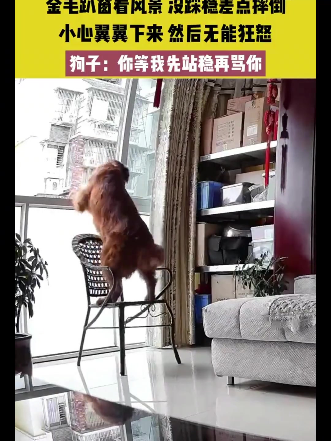 果然尴尬的时候会装作很忙的样子