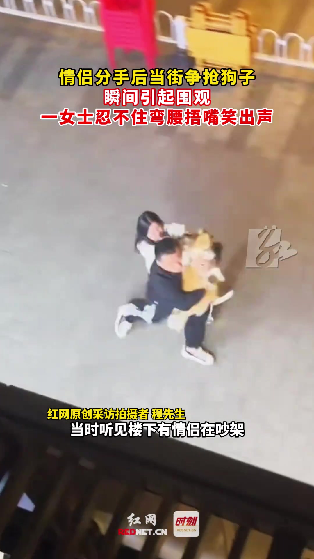 绝了！情侣分手后当街争抢狗子，瞬间引起围观