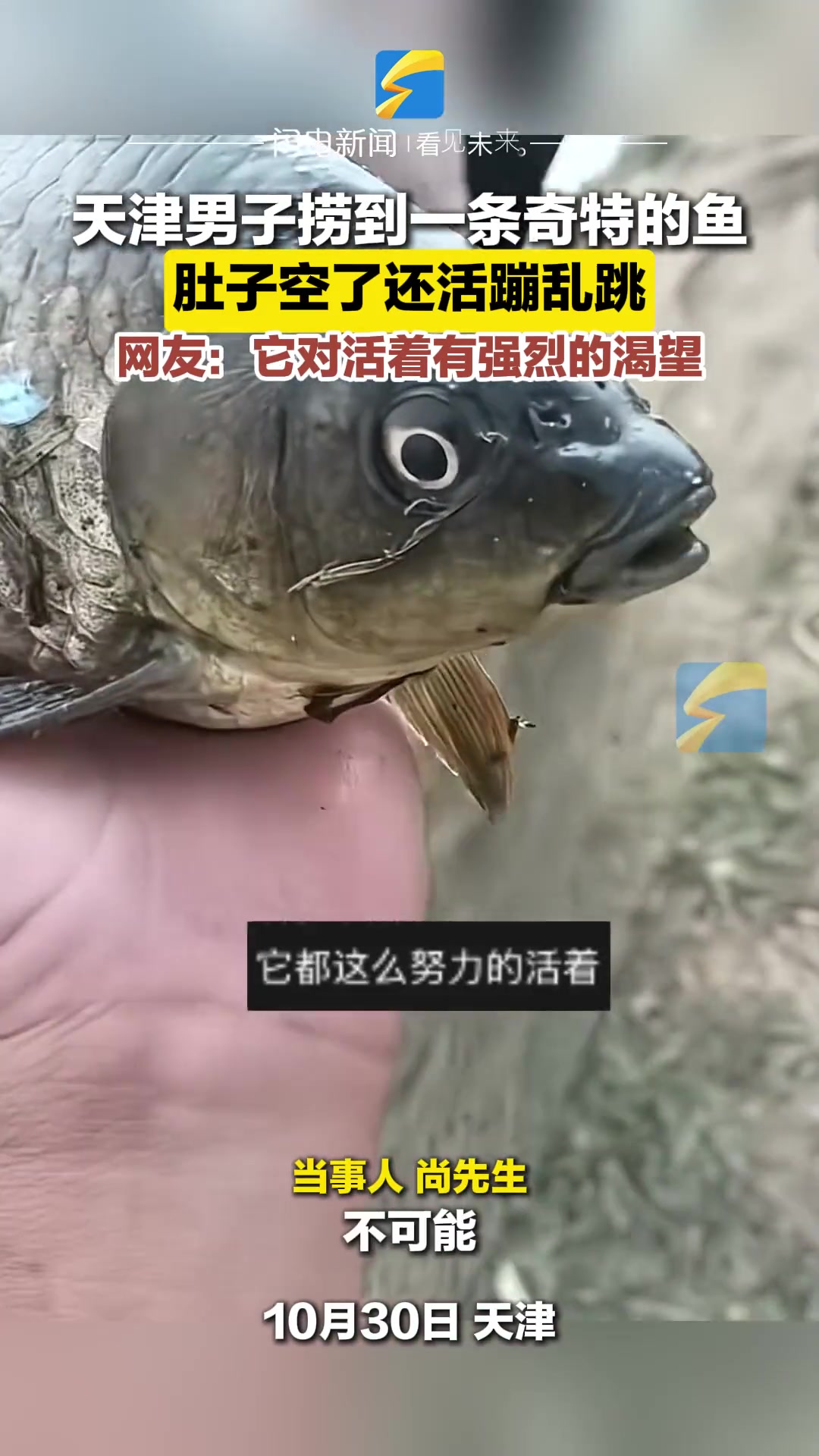 震惊！鱼肚子都空了还能活蹦乱跳！！