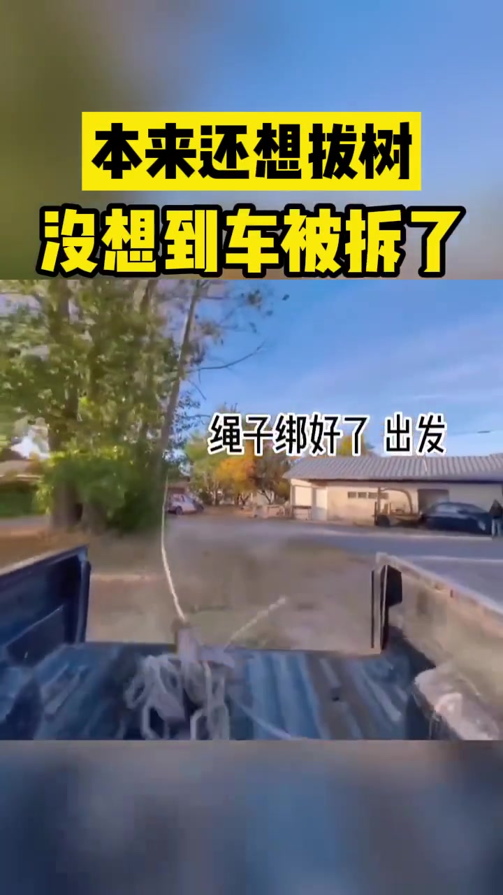 呵呵本以为可以把树拔倒没想到树把车拆了