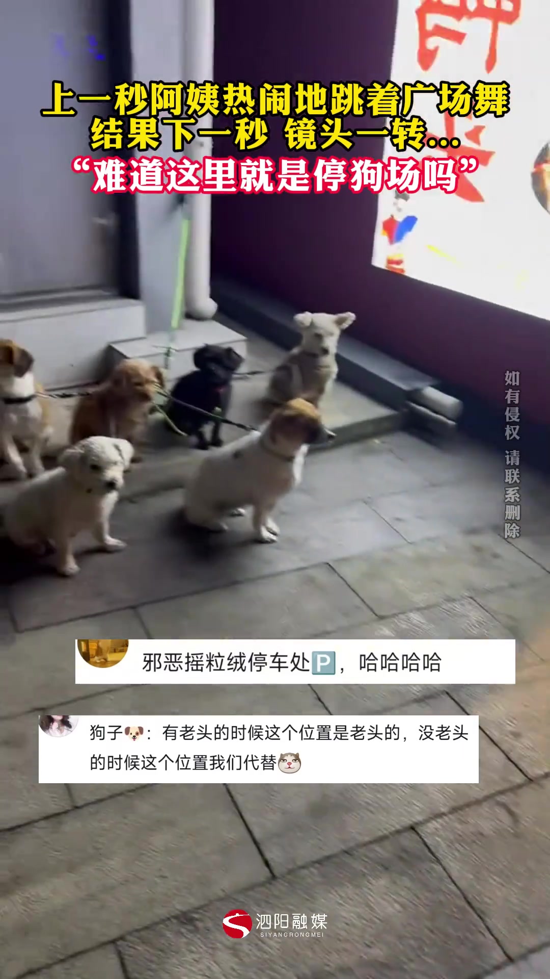 上一秒看阿姨热闹地跳广场舞下一秒镜头一转...