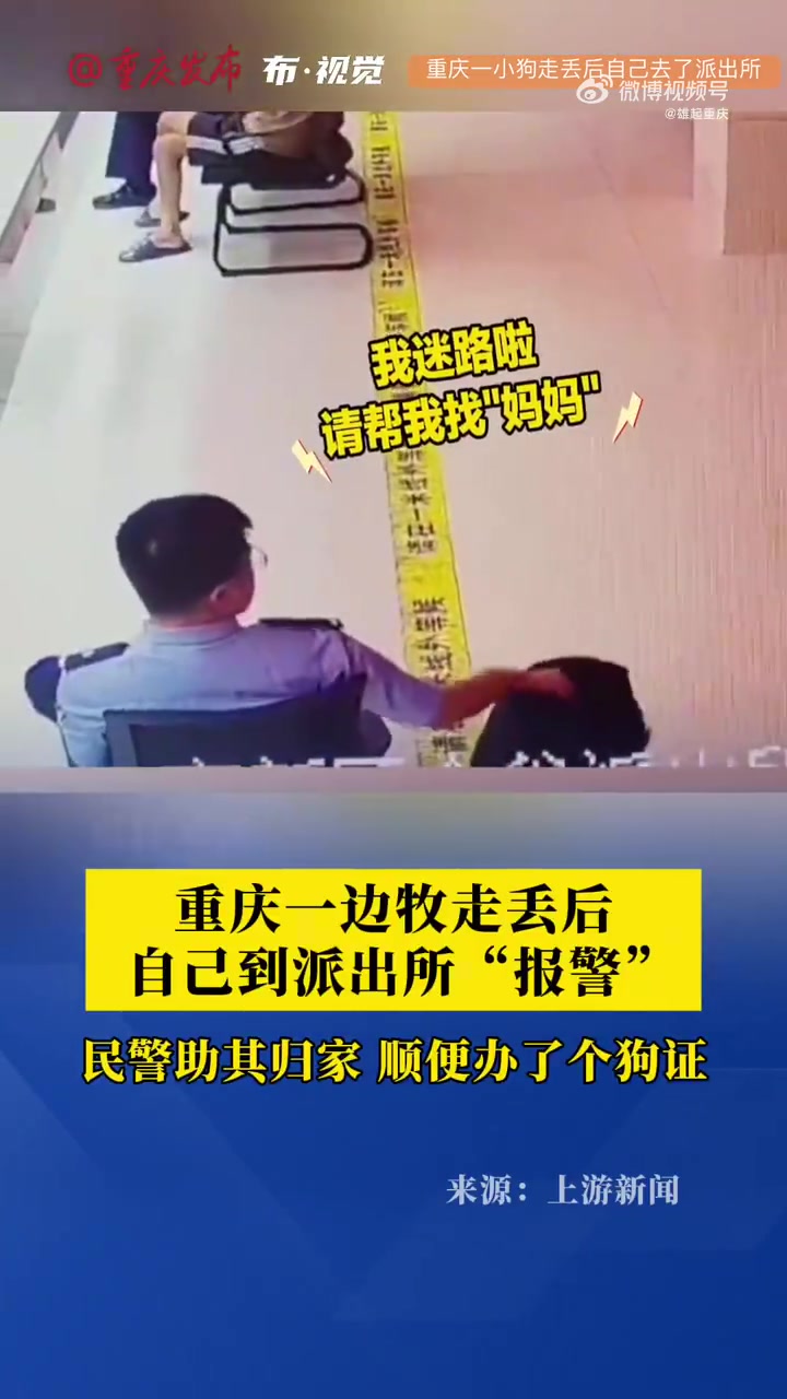 边牧走丢后自己到派出所“报警”，民警助其归家，顺便办了个狗证