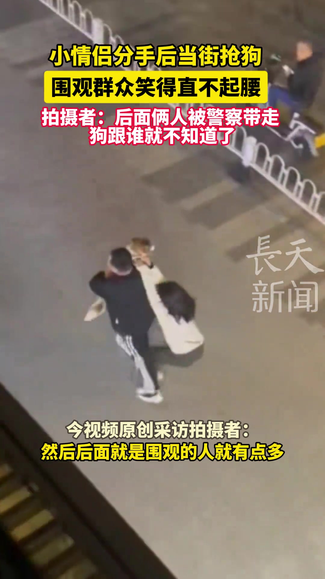 真心养了狗的才懂，这抢的真不是狗是孩子