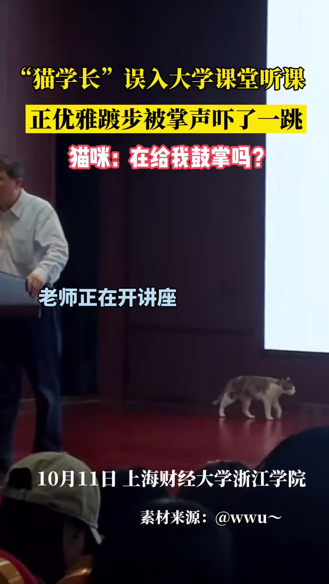 “猫学长”误入课堂听课，优雅走“猫步”被掌声吓了一跳
