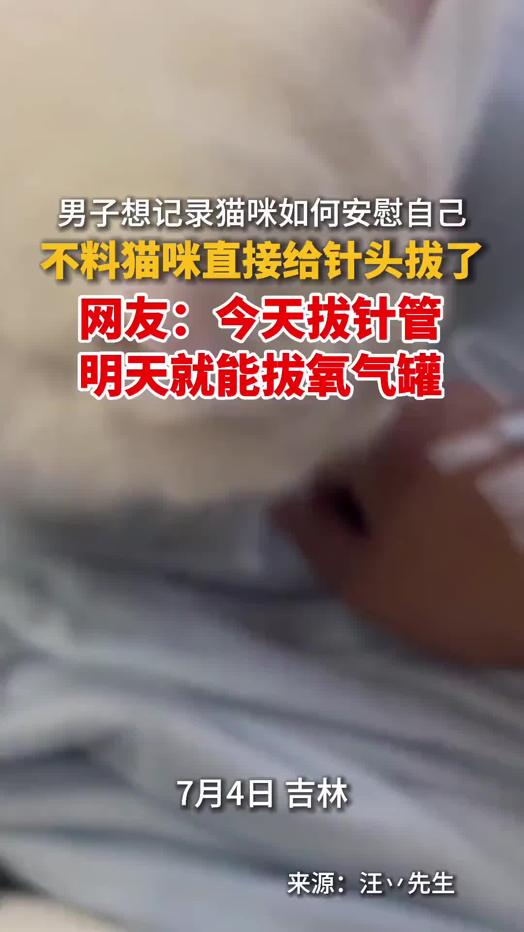男子想记录猫咪如何安慰自己，不料猫咪直接给针头拔了