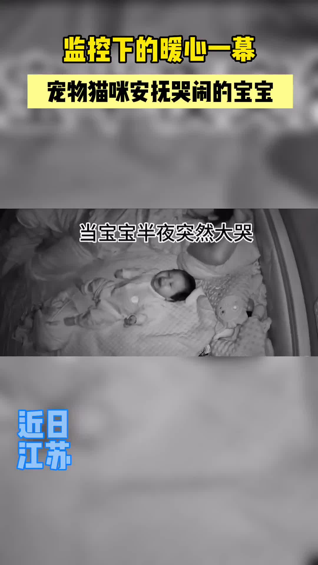监控下的暖心一幕，猫咪贴贴安抚哭闹小主人
