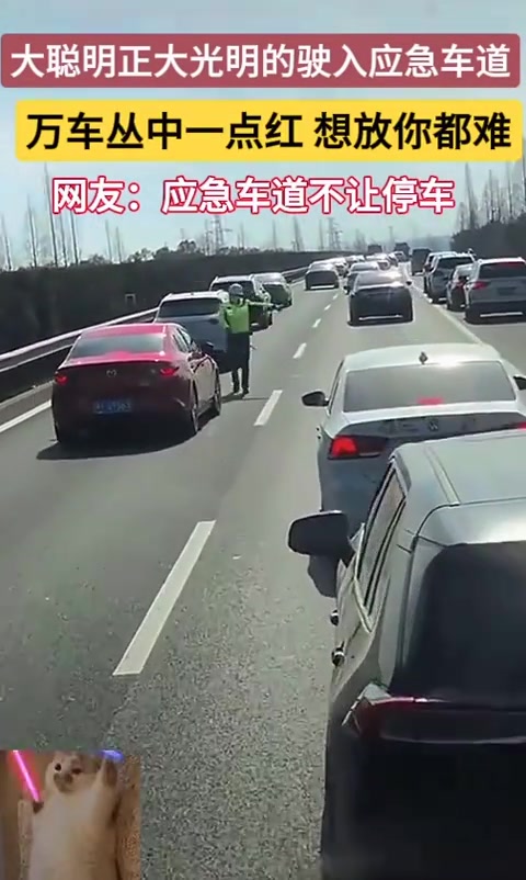 应急车道里尴尬瞬间