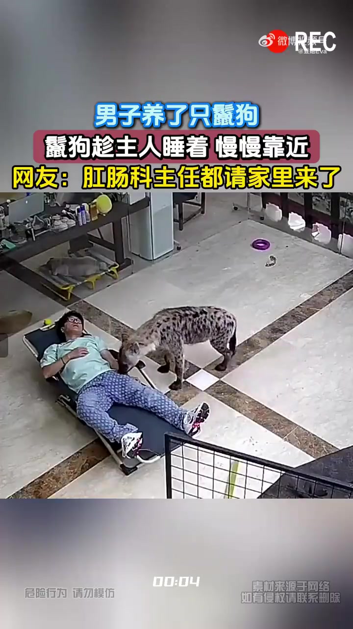 男子养了只鬣狗，鬣狗趁主人睡着慢慢靠近！！