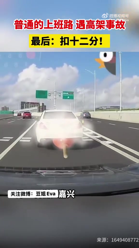 女子高架上突然停车，随后溜车撞后车！！