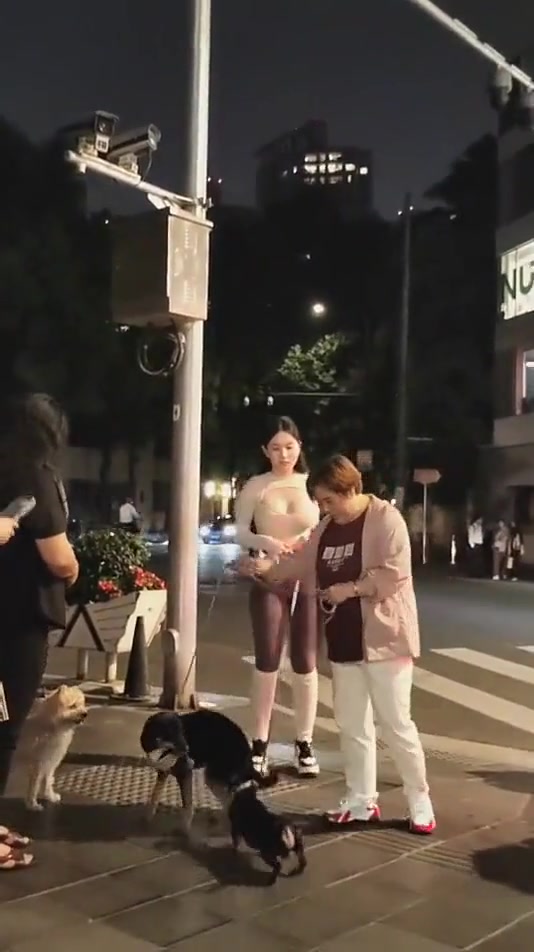 大伙关注点应该都是小姐姐的狗子吧