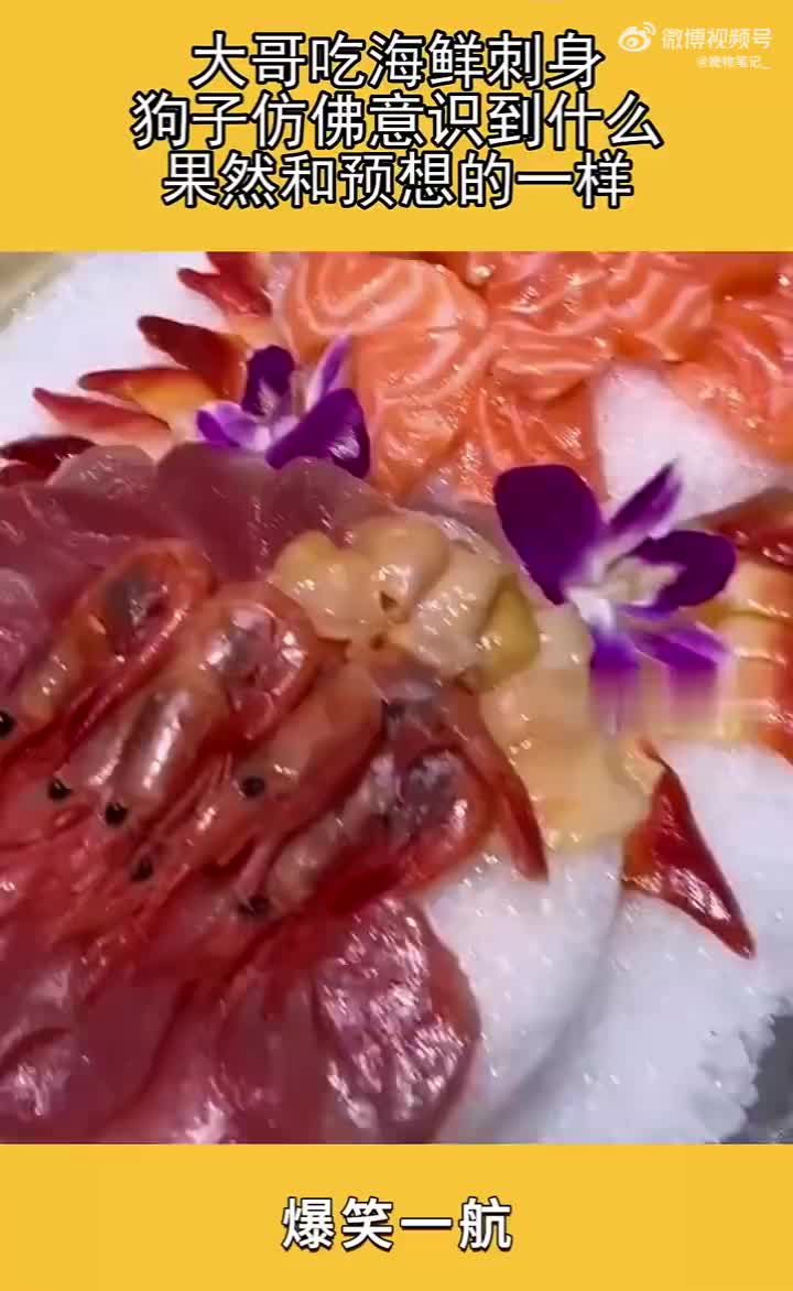 茅台配刺身，这狗子比我吃的好！