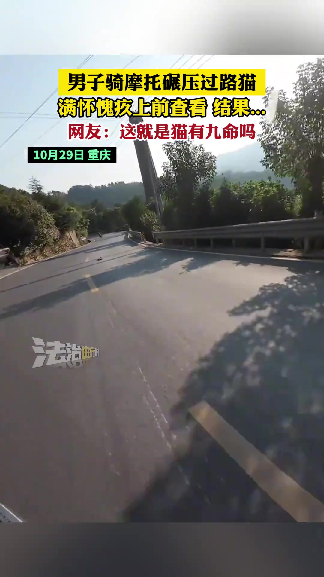 猫骂骂咧咧的就剩八条命了